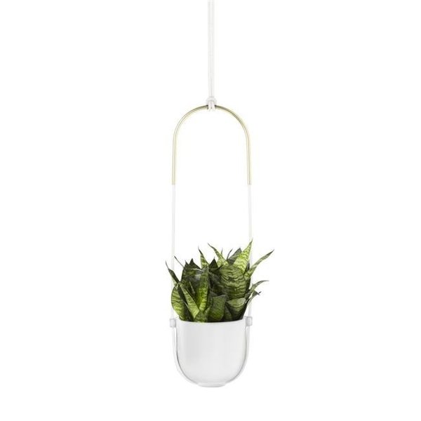Umbra Umbra 1009571-660 Bolo Hanging Planter for Succulents & Other Small Plants; White 1009571-660